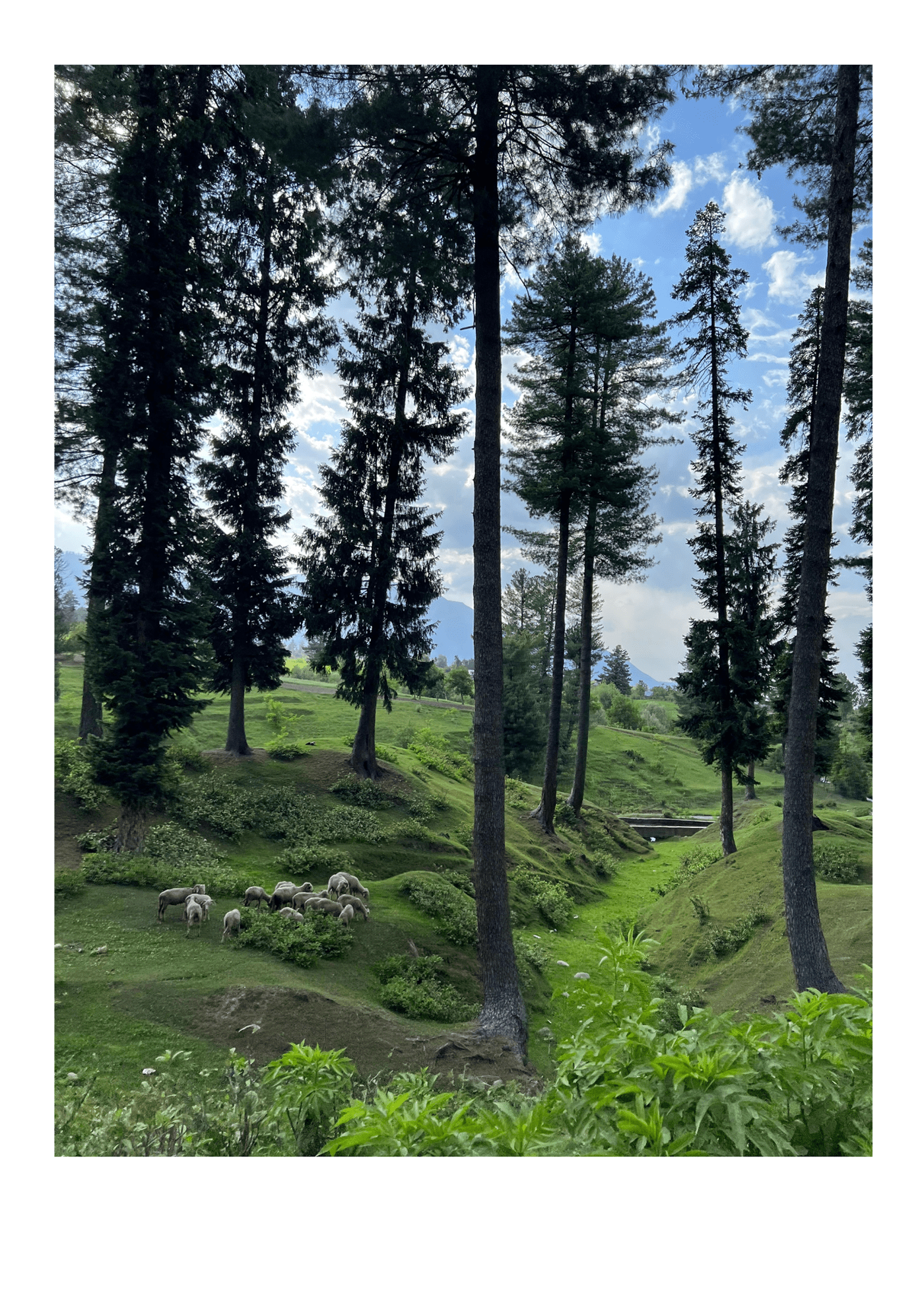 Photography  Nature Landscape photography portfolio nature photography valley mountains heaven Kashmir India