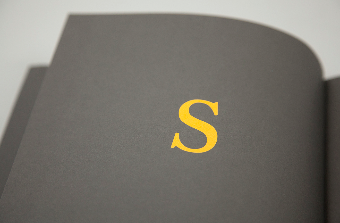 istd Book still? type dyslexia book print