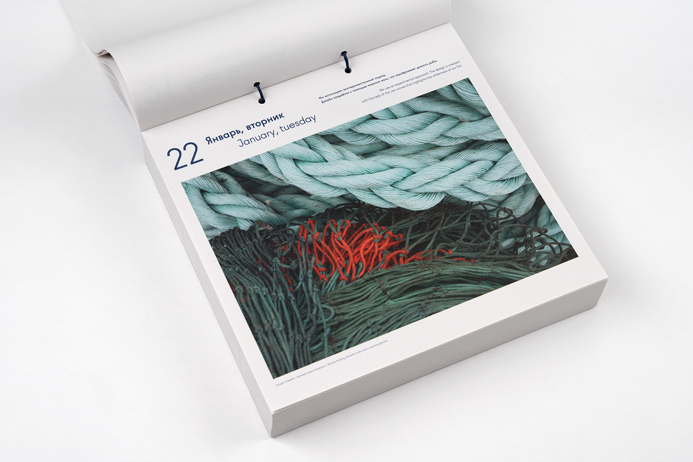 graphic design  calendar branding  sea print design  editorial design  north ermolaev bureau fish experimental design