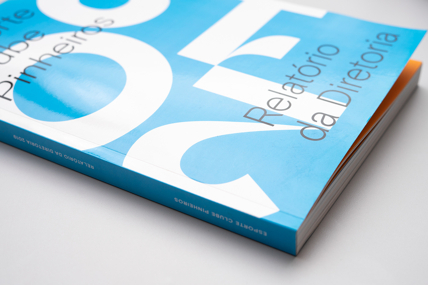 annual report brochure editorial graphic project print editorial design  Relatório Anual