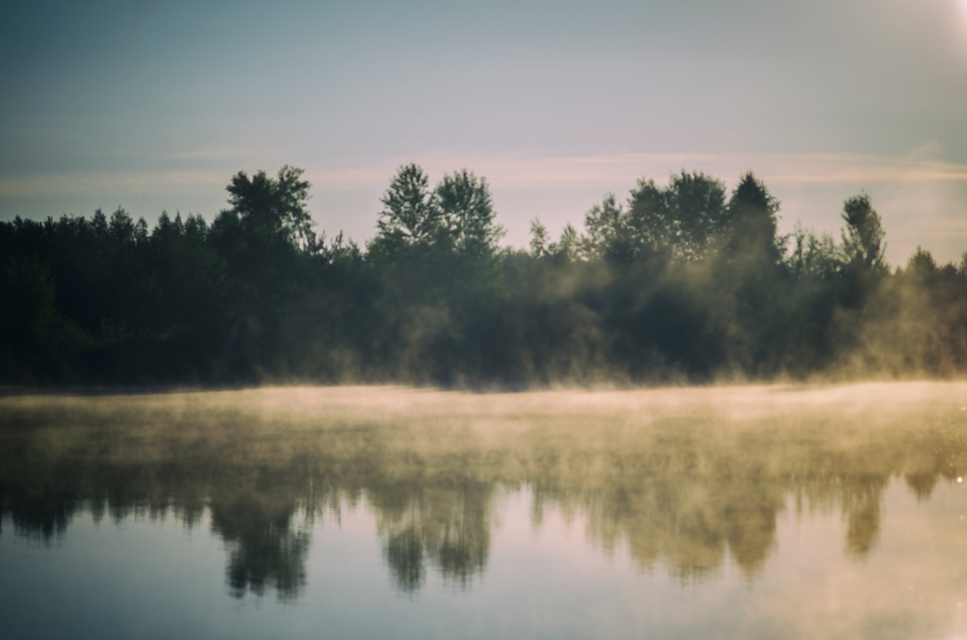 fog mood MORNING river trees
