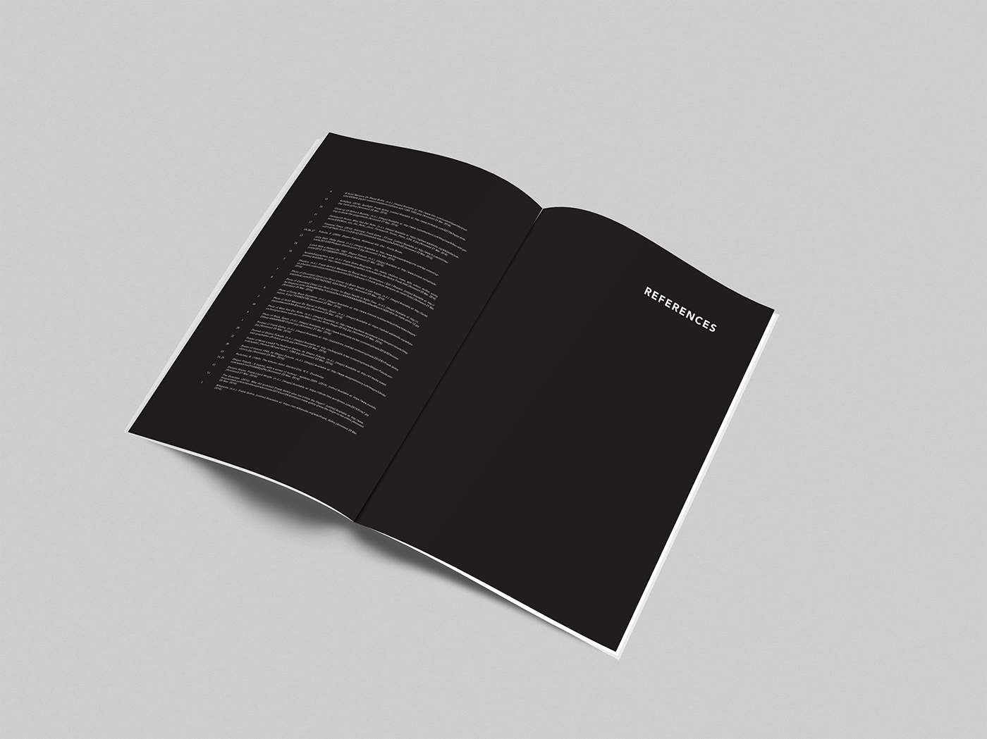 editorial publication composition graphic design Photography  typography   magazine