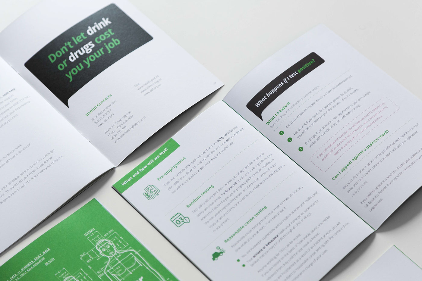 Booklet Layout Design InDesign publication typography   graphic infographic