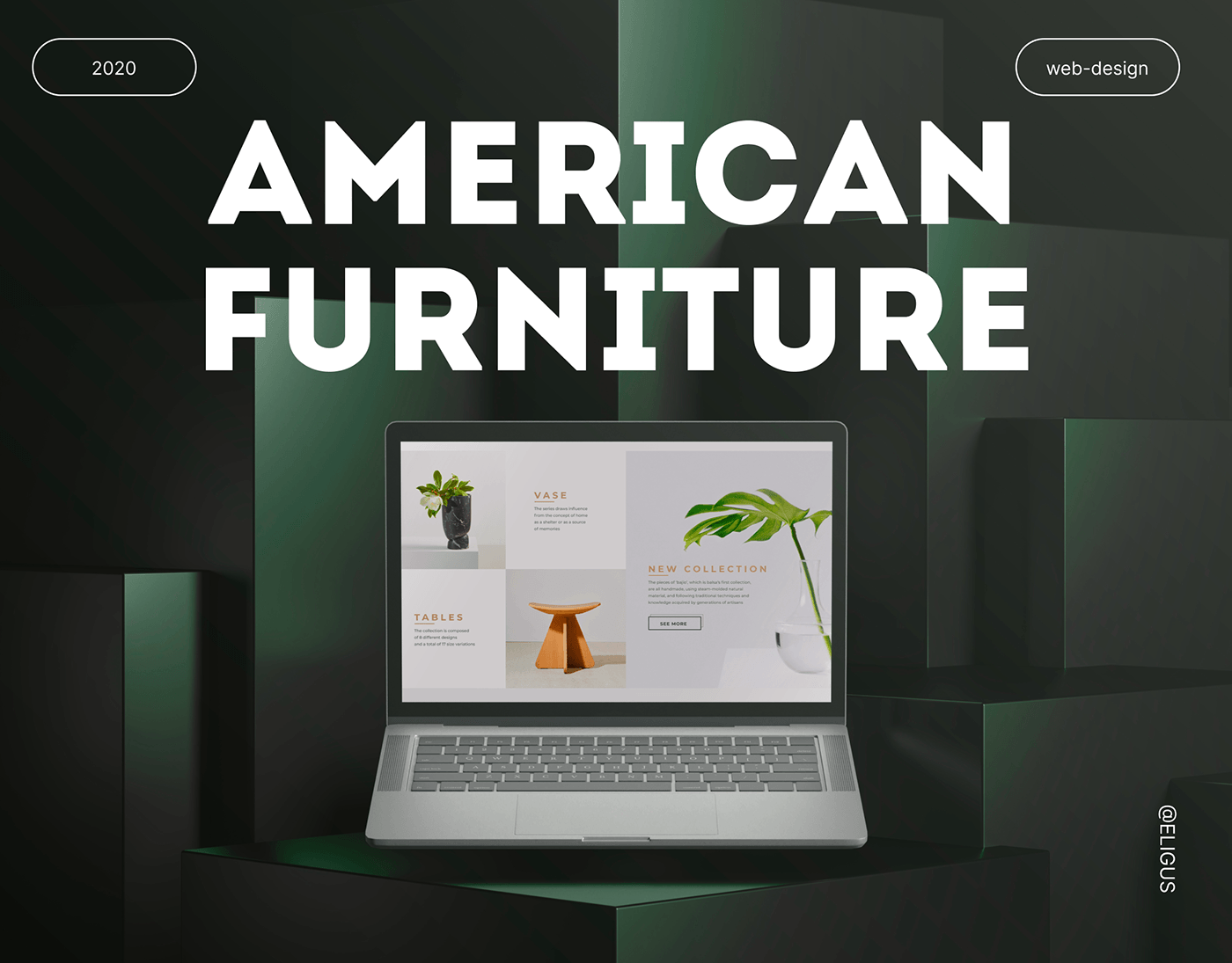 furniture landing store Web Website business america design branding  visual identity
