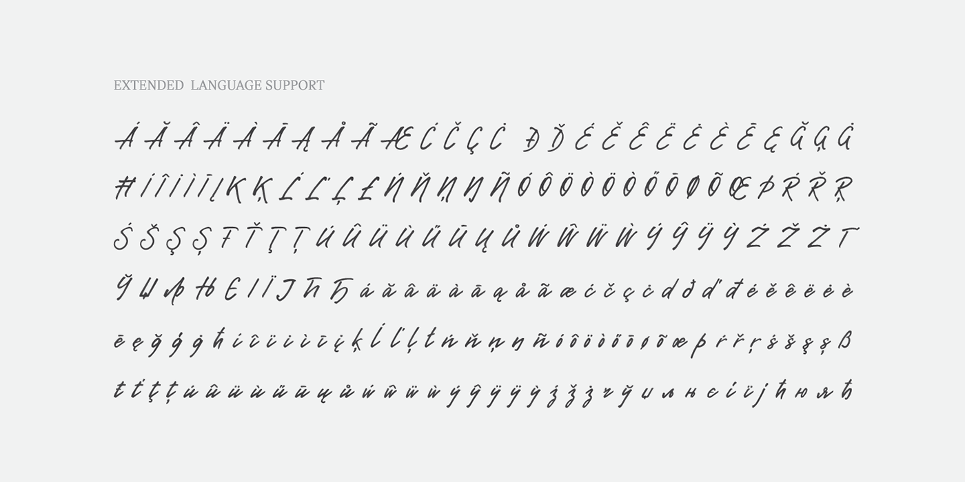 typography   font Script handwritenfont Calligraphy   Cyrillic Latin