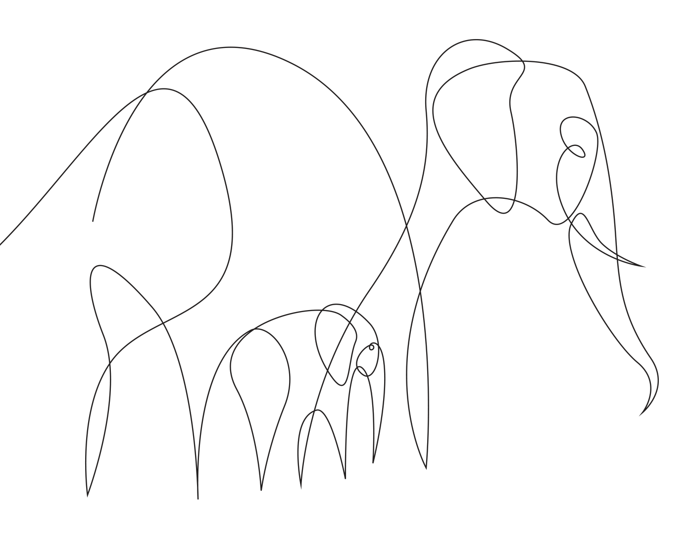 one line continuous line animals lion giraffe tiger wild minimal oneline line art