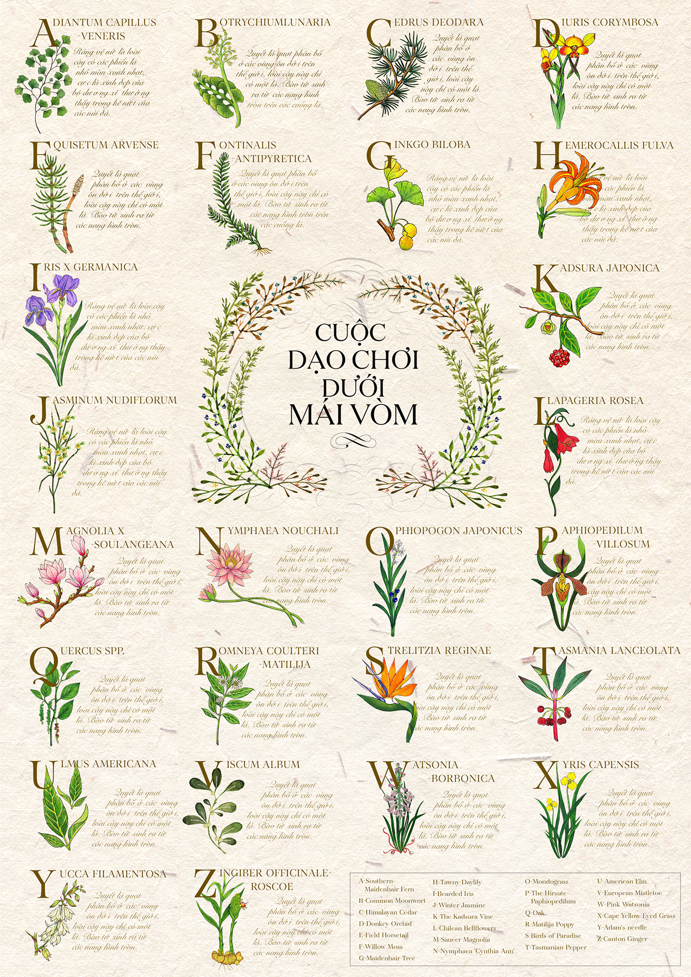artbook Botanicals journal Knownledge Plants Floral Antique vintage