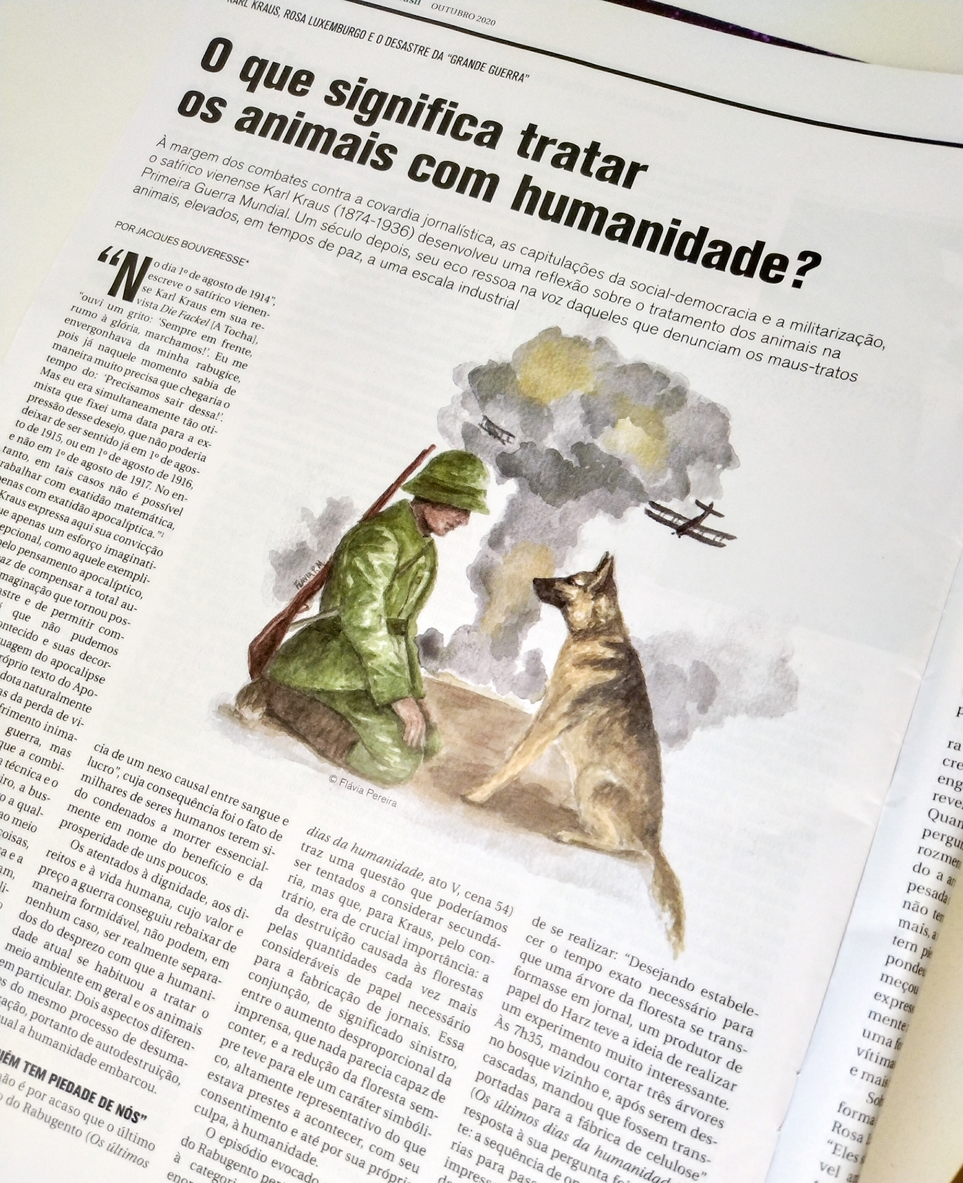 animal illustration aquarela desenho Drawing  ILLUSTRATION  Ilustração newspaper newspaper illustration painting   watercolor