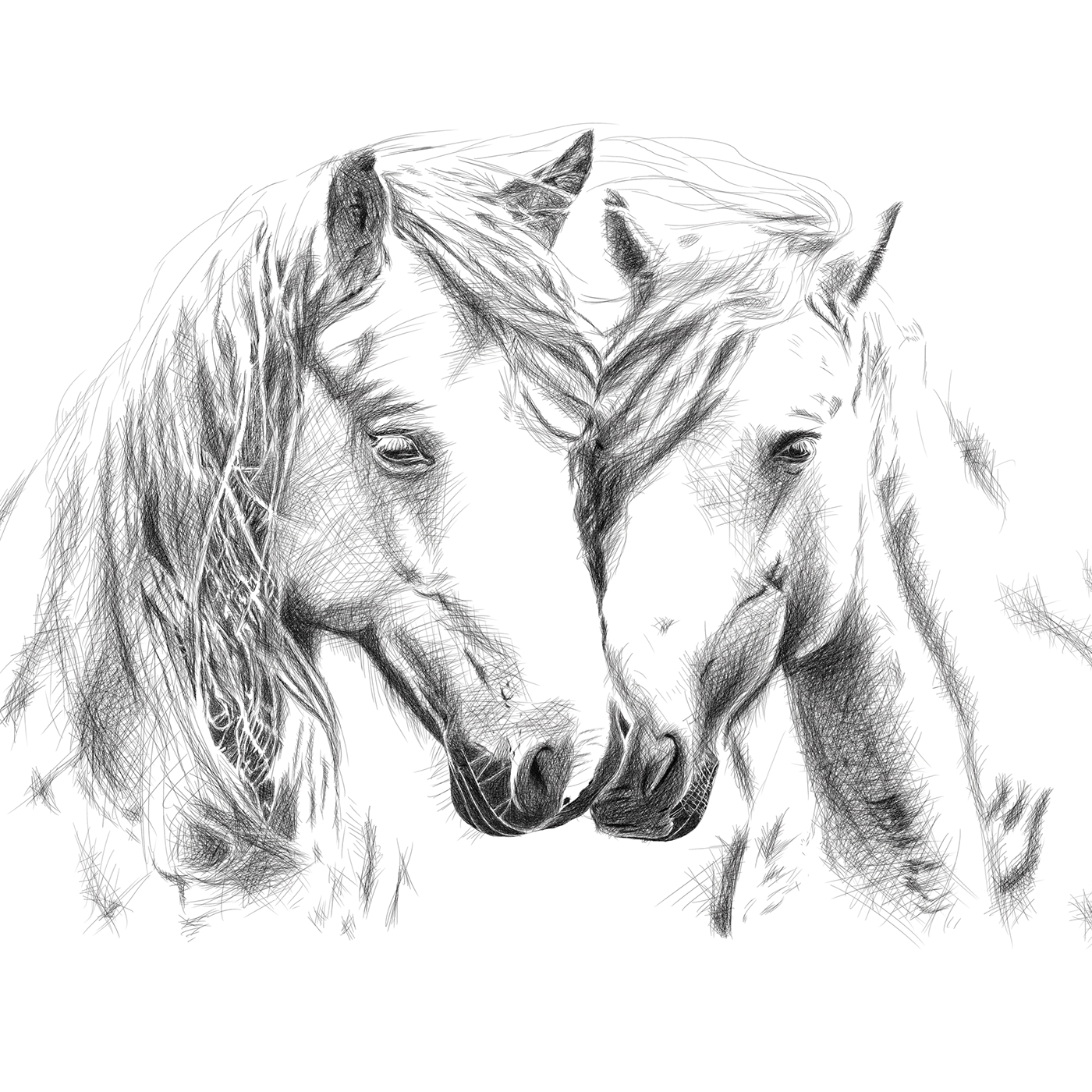 ILLUSTRATION  Drawing  lines etching horses engraving sketch Detailed illustration Pen and in