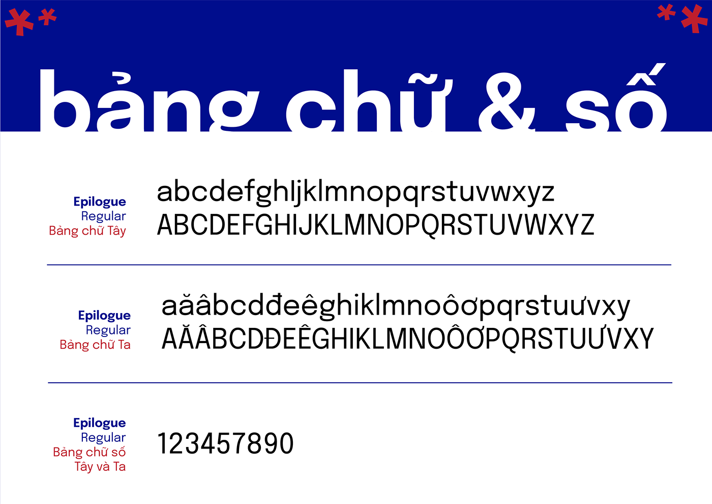 typography   Type Specimen font