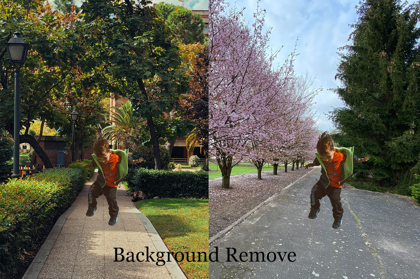remove background Background Remove Background removal object remove removebackground object removal cutout remove object