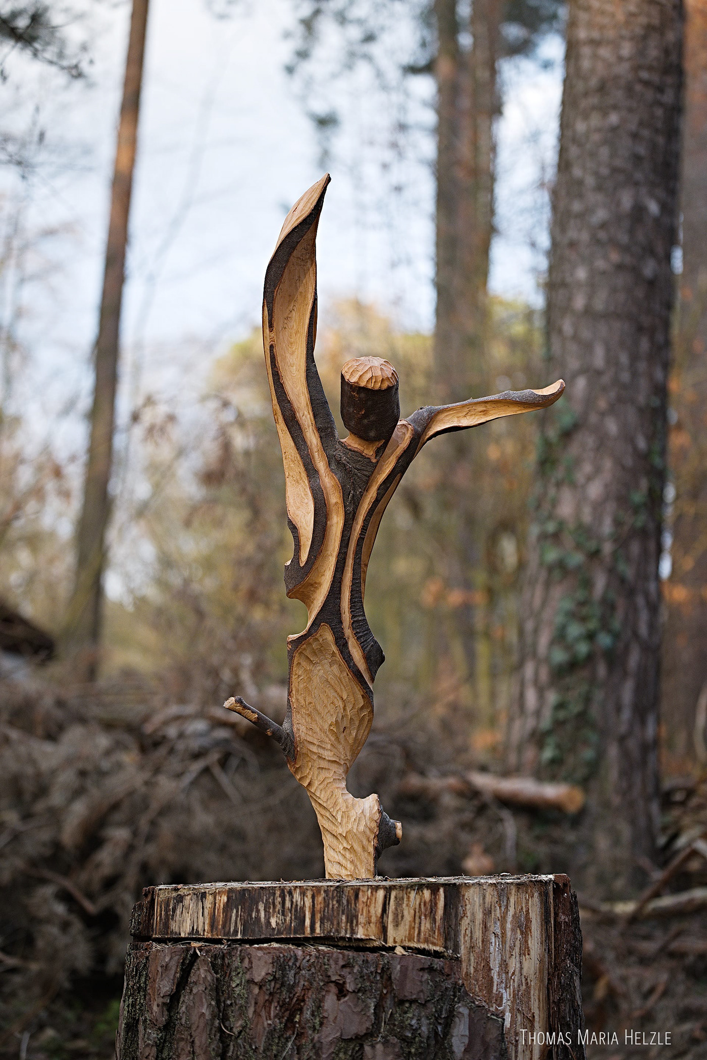 Frontal view of the Dancer sculpture mounted on the stump of a pine tree in the woods
