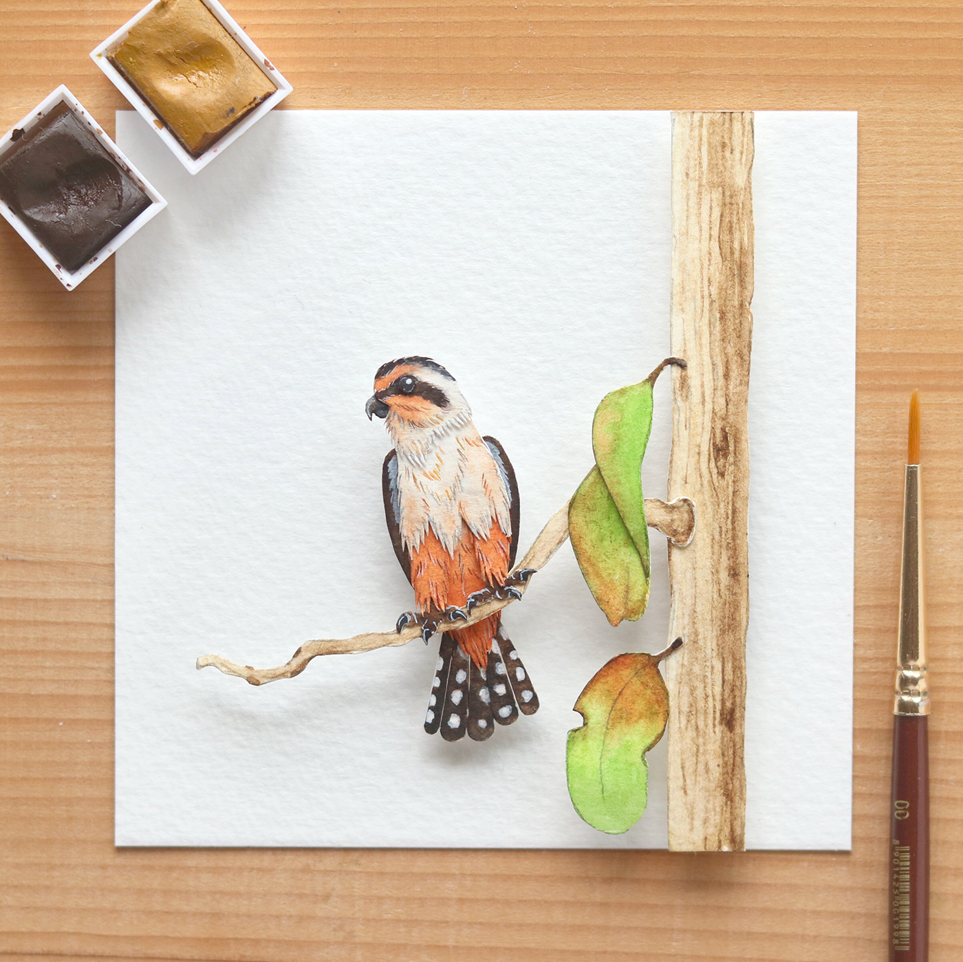 Behance birdart birdartist ILLUSTRATION  Miniature Nature paperart papercut sculpture watercolour