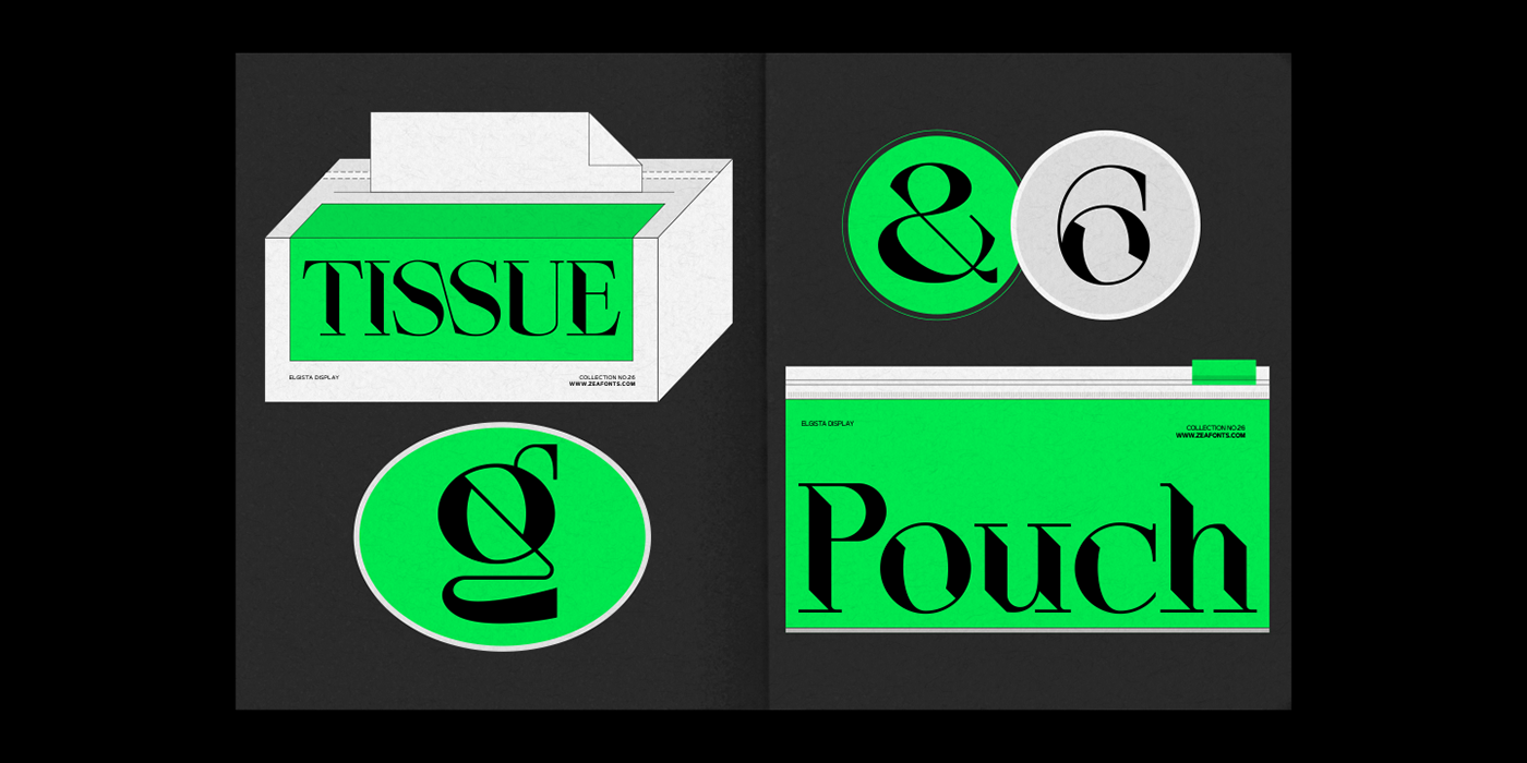 alternates branding  display font font ILLUSTRATION  Ligatures sans serif serif Typeface typography  