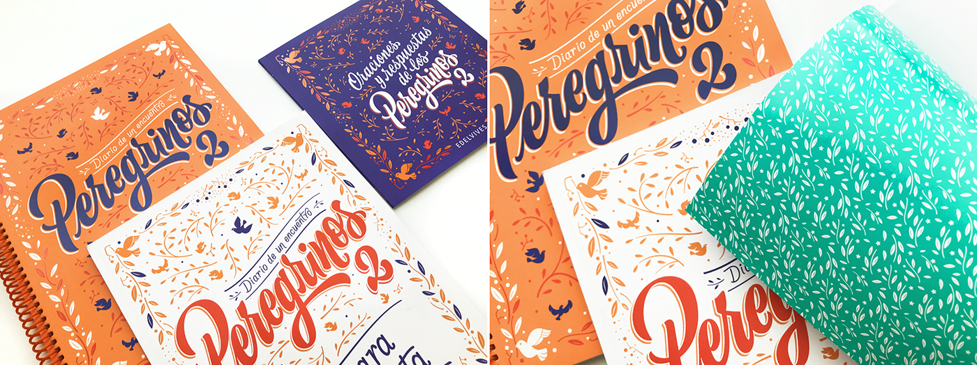 lettering ILLUSTRATION  editorial Cover Book Book collection graphic design 