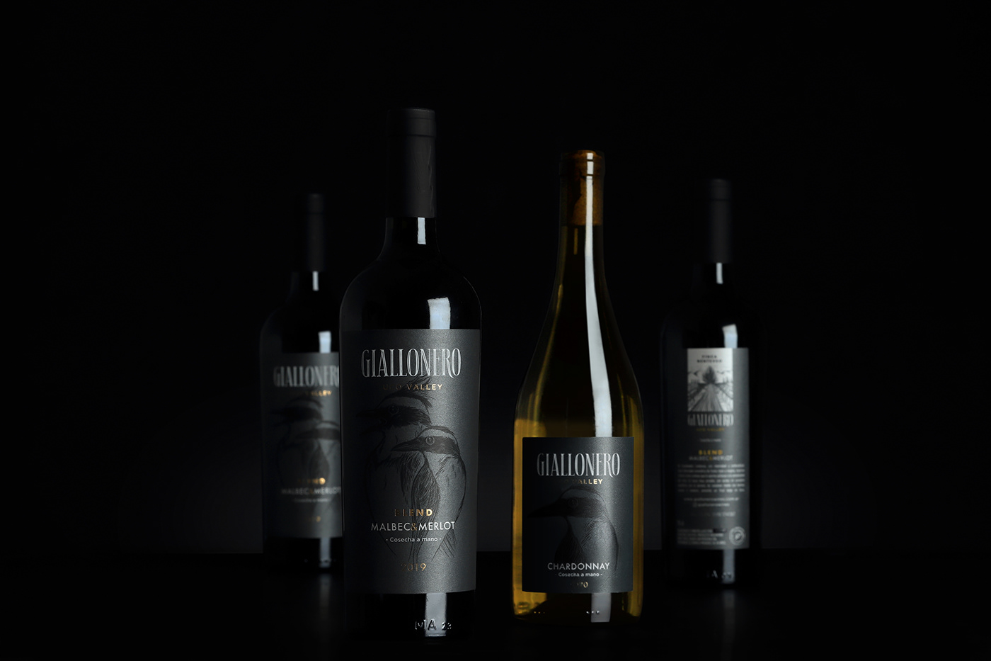 Wine label set. Group of 4 bottles showing the designs.