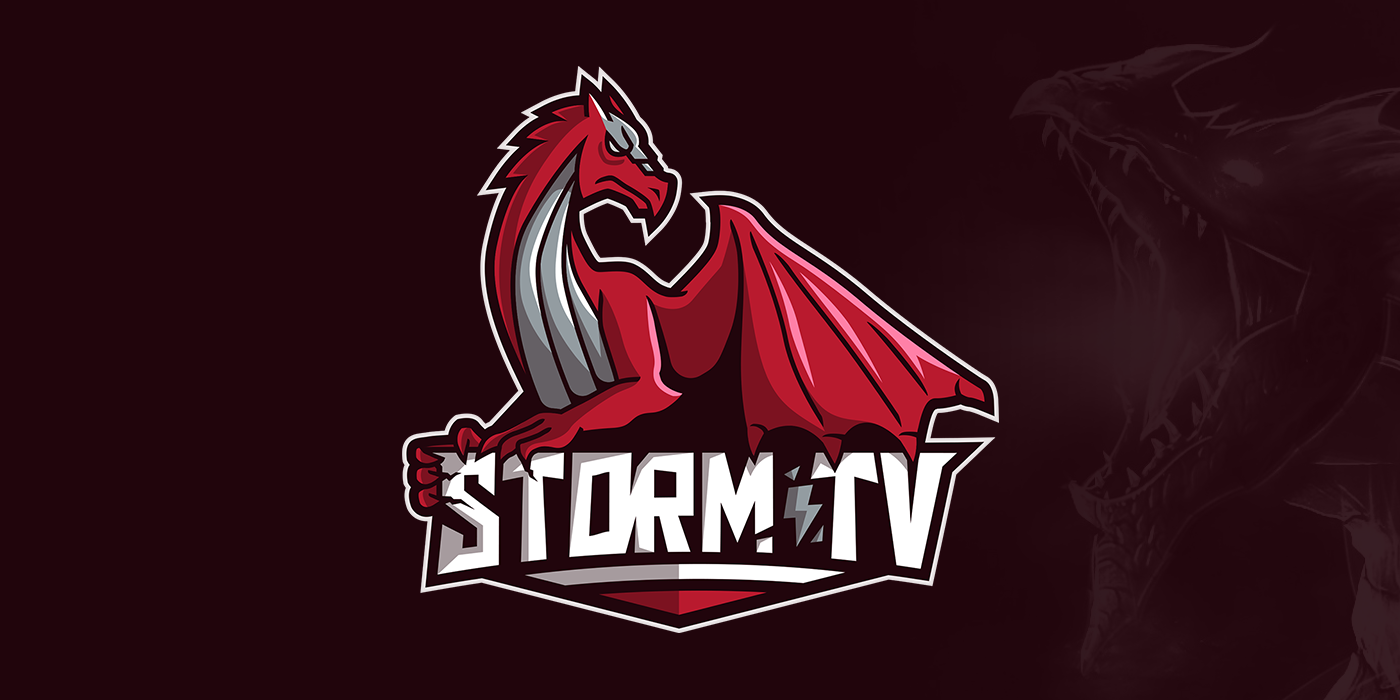 Mascot logo dragon ILLUSTRATION  storm