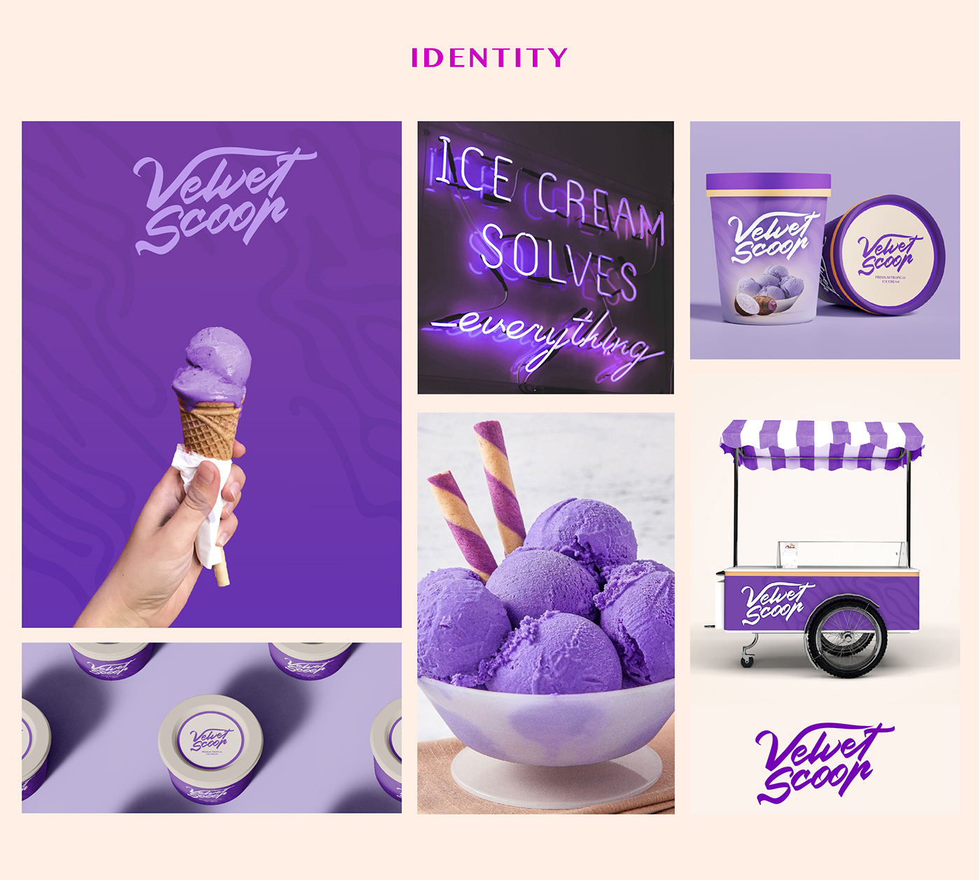 ice cream ice cream shop Ice Cream Packaging Logo Design Branding design Branding Identity Brand Design visual identity Advertising  marketing  