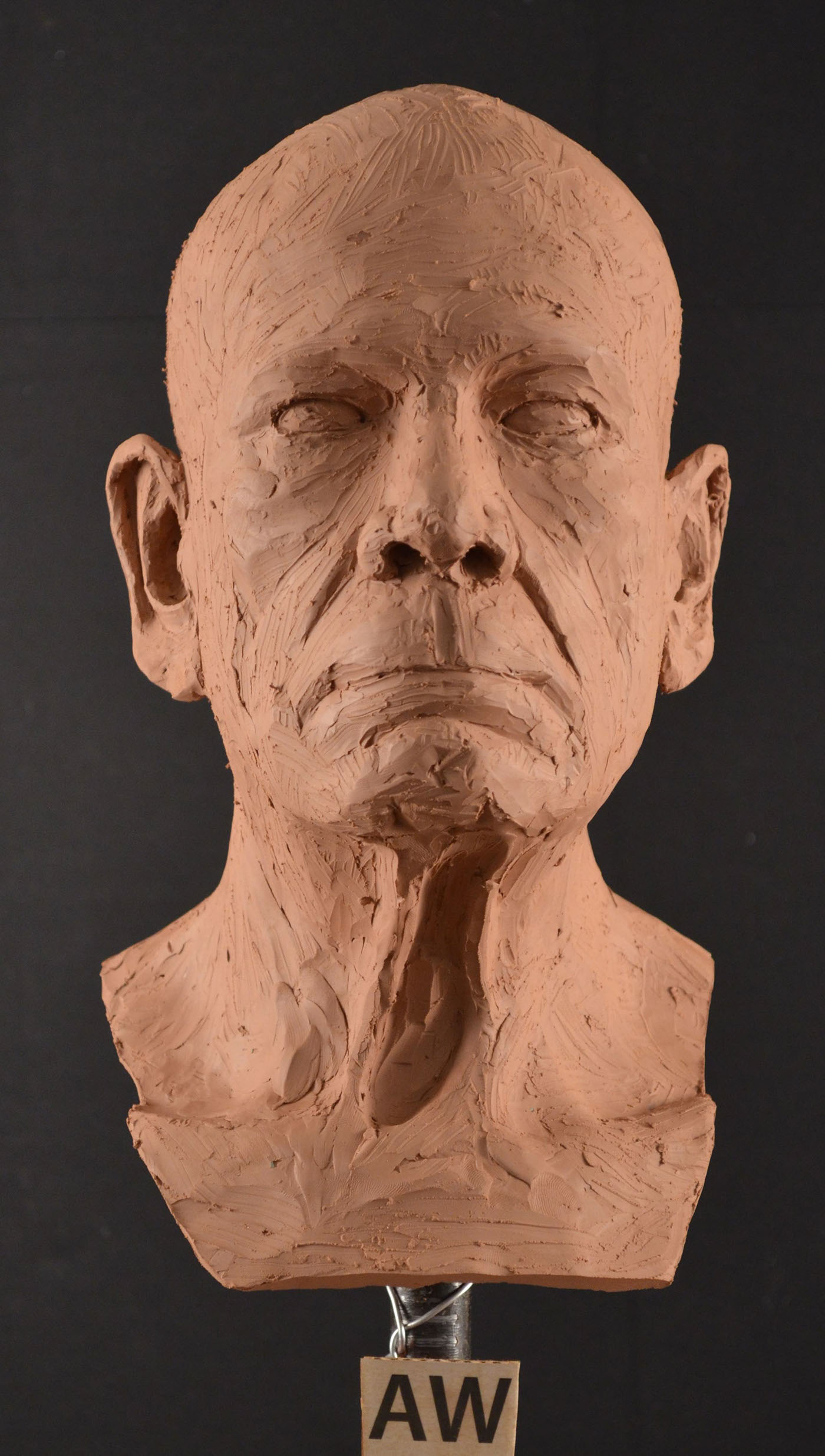 sculpture figure modelling figure portrait plasticene