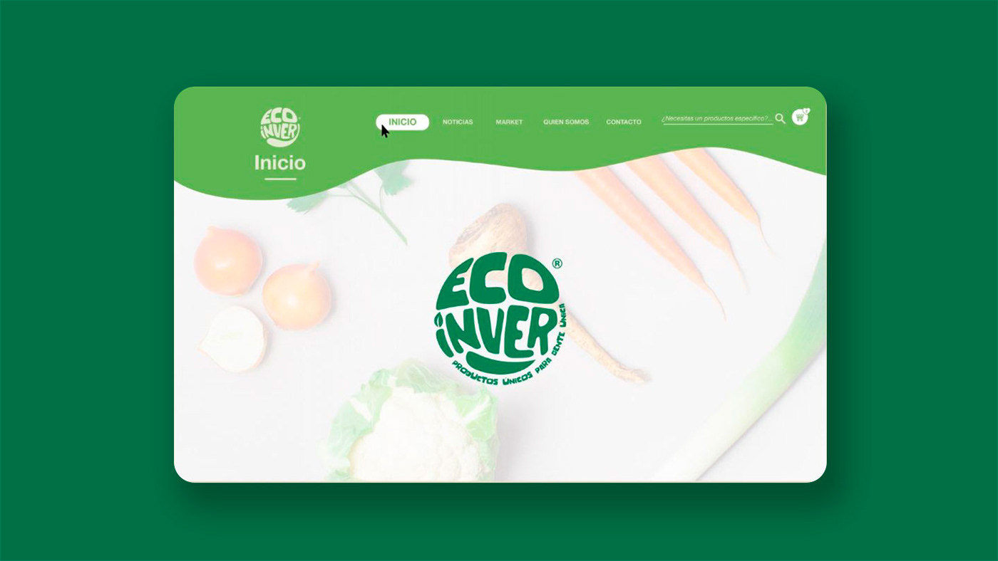branding  responsive web Website