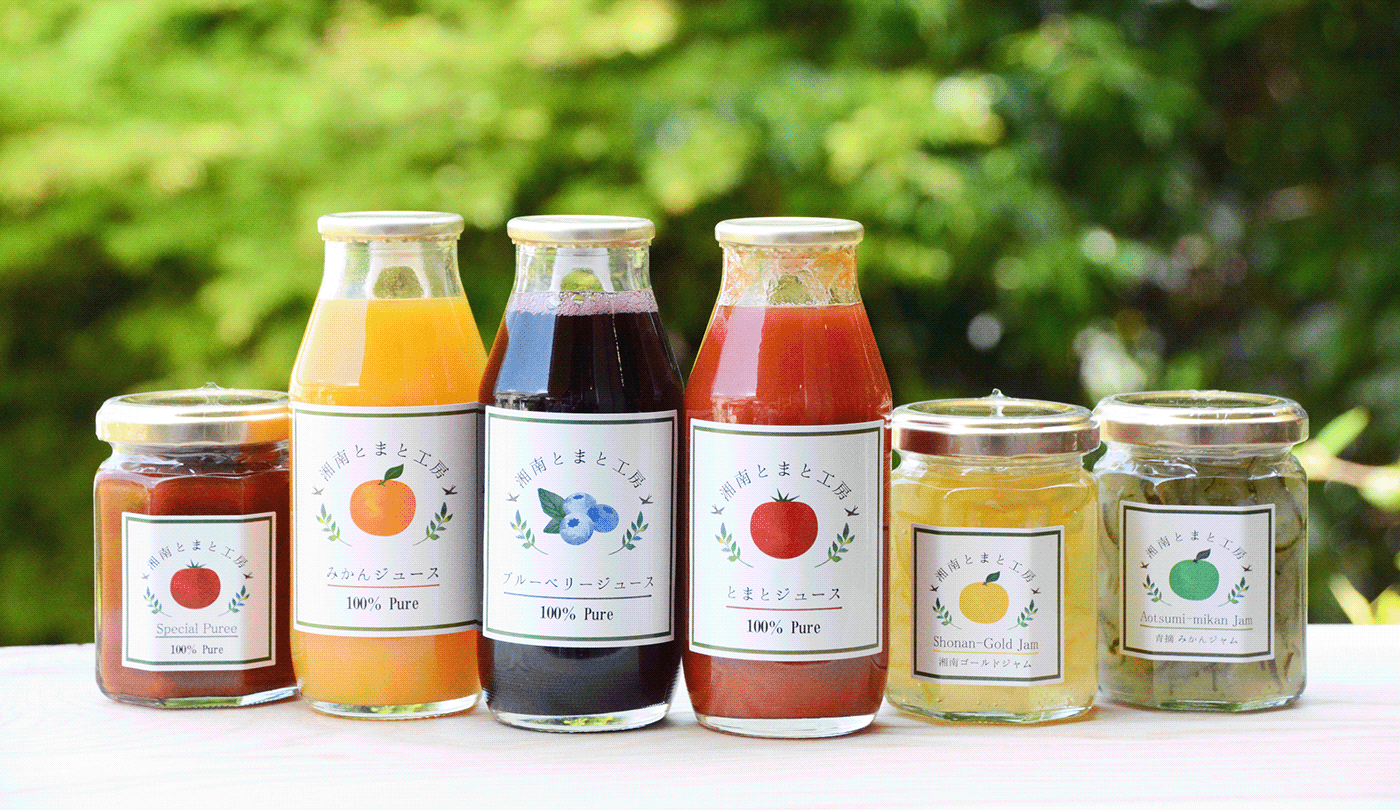 packaging design Label brand identity Logo Design handicapped welfare orangejuice Advertising  tomatojuice Vegetables and fruits