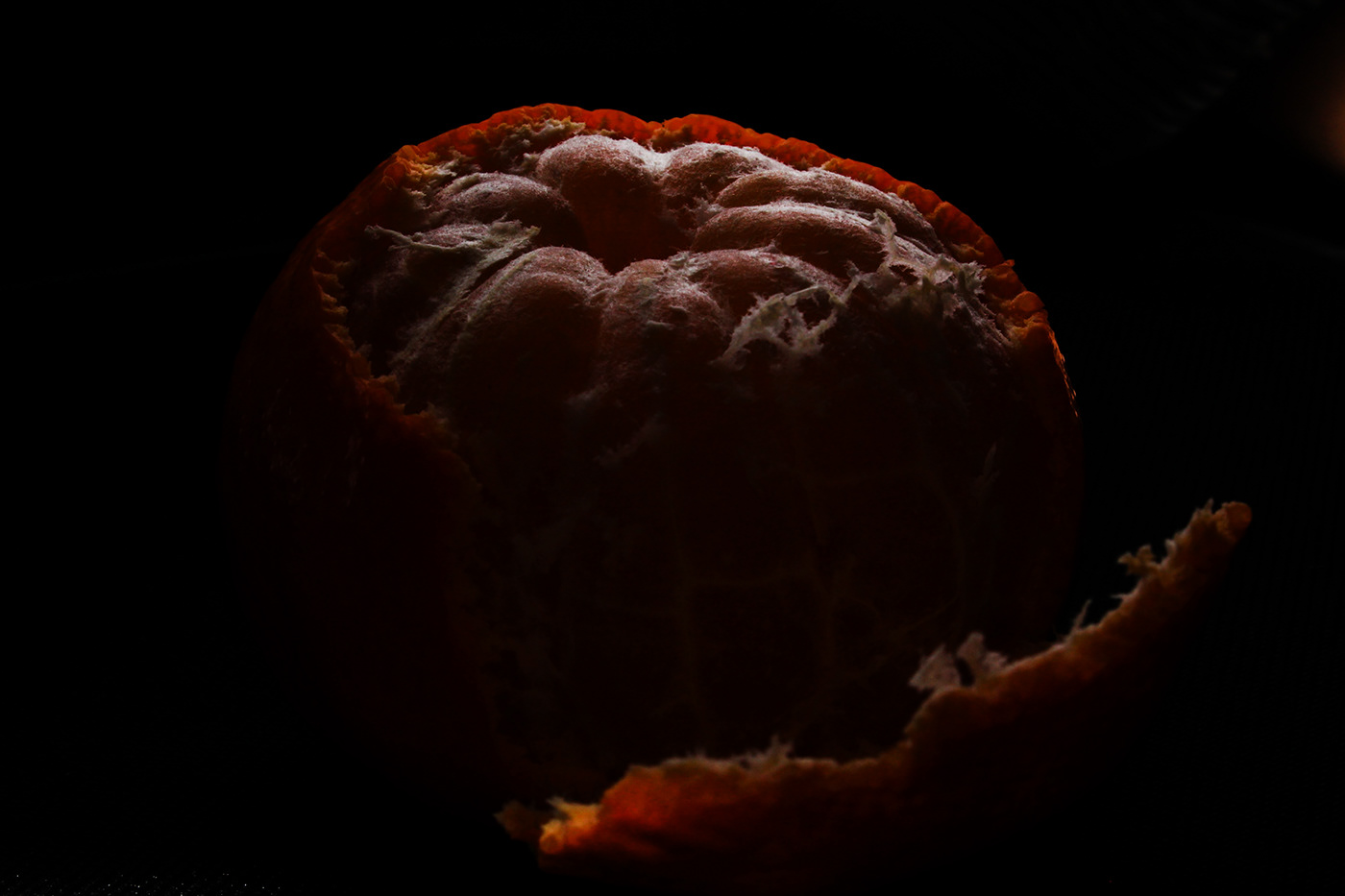 Photography  shape art shadow light texture Fruit mandarin Art Design