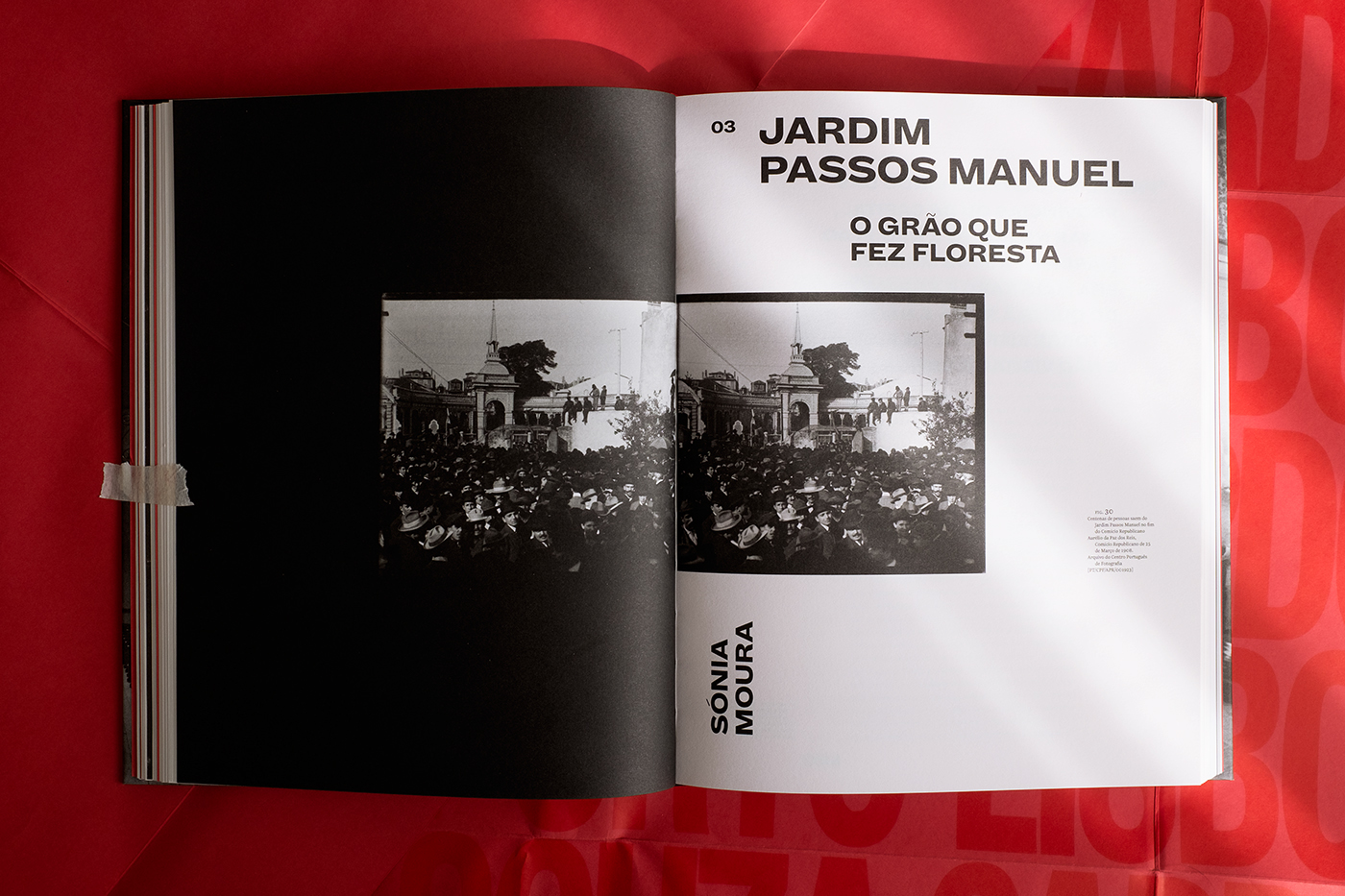 Catalogue book editorial amadeo Exhibition  porto