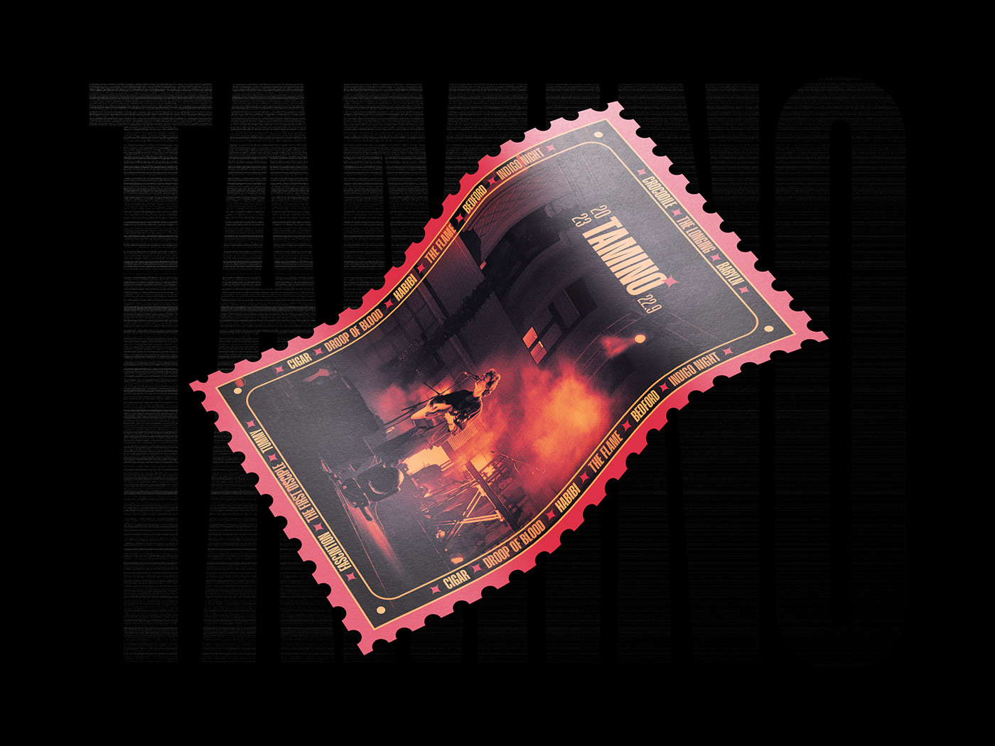 Tamino music poster cover stamp stamps visualization visual Socialmedia tamino amir