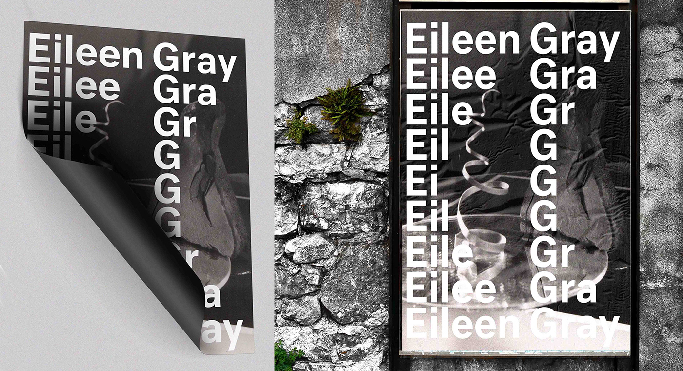 Eileen Gray book architecture design graphic design  editorial grafica