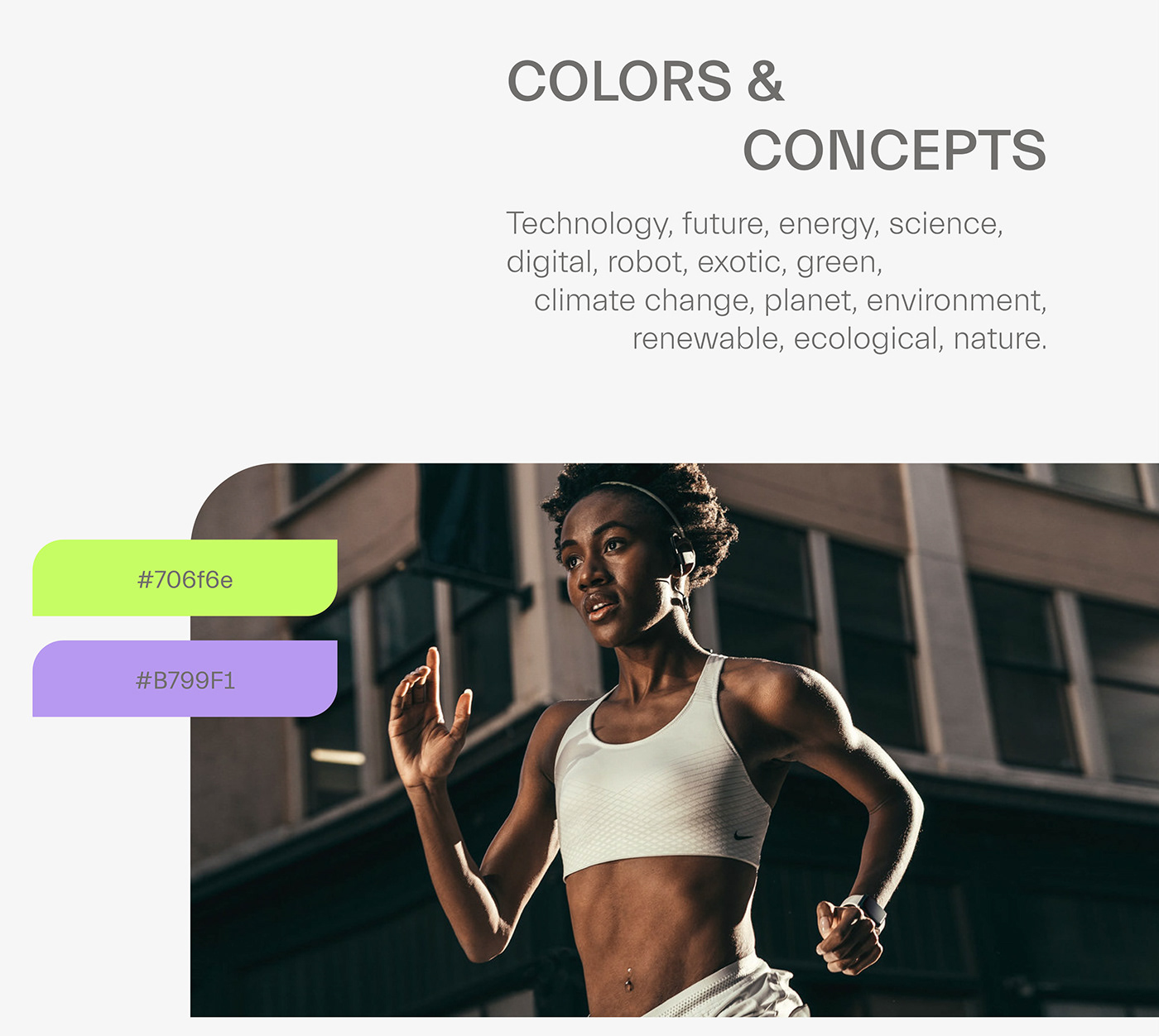 branding  gym Interface Sustainable UI ux ux/ui Web Web Design  Website