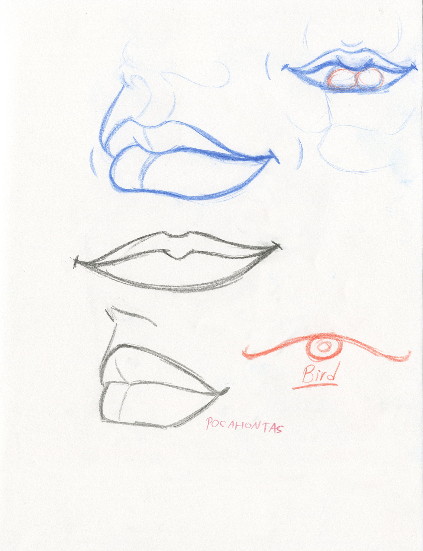 Mouth mouths human anatomy Drawing  lips