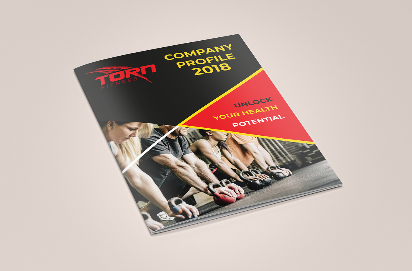 company profile profile portfolio Corporate Profile business business profile Booklet brochure design annual report Catalogue