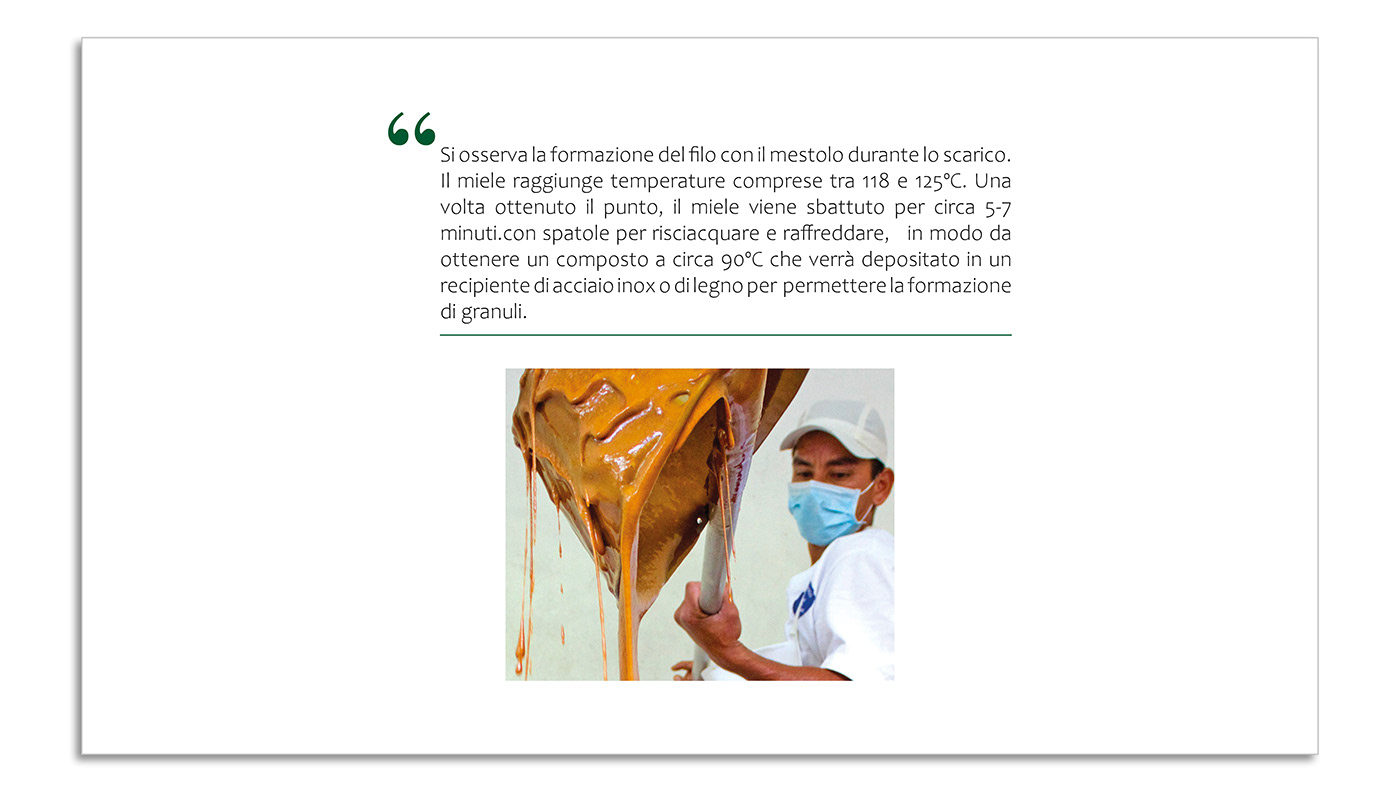 presentazione panela Ecuador colombia quito logo canna da zucchero procedimento