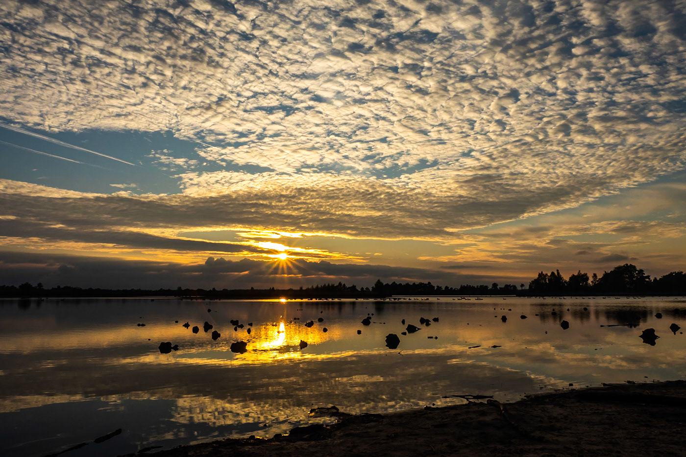 sunset Landscape Nature reserve reflections clouds kalmthout Photography  cplfilter gold