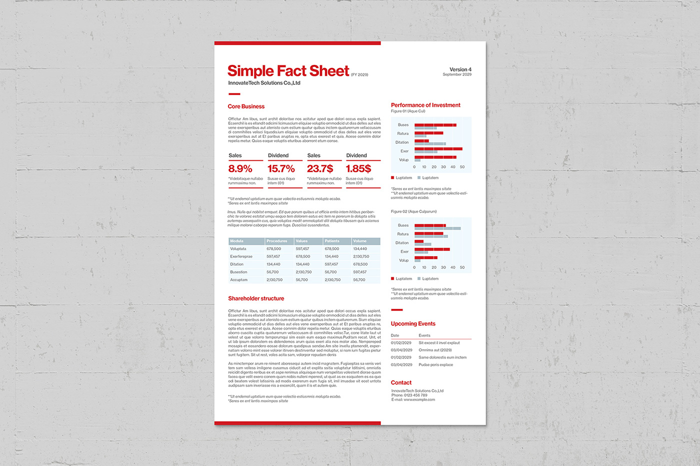 factsheet information Data report summary case study document template file