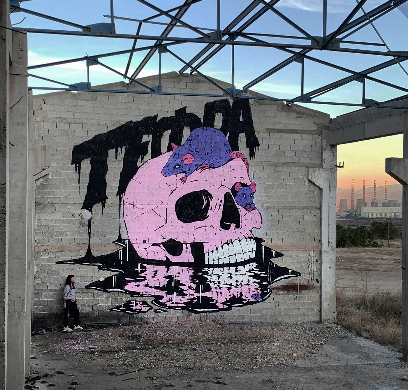 Graffiti artwork Mural wall art Drawing  artist skull rat