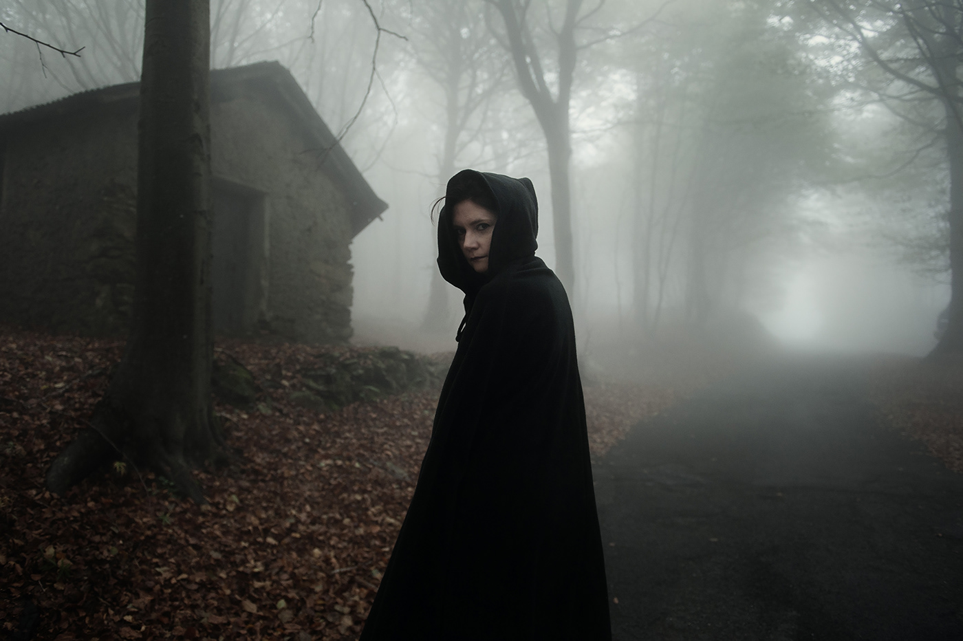 autumn wood fog dark darkness fear gothic black