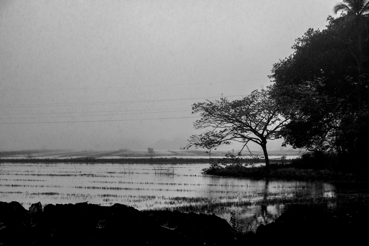 misty MORNING Goa blackandwhite Photography  India Nature fog winter feb