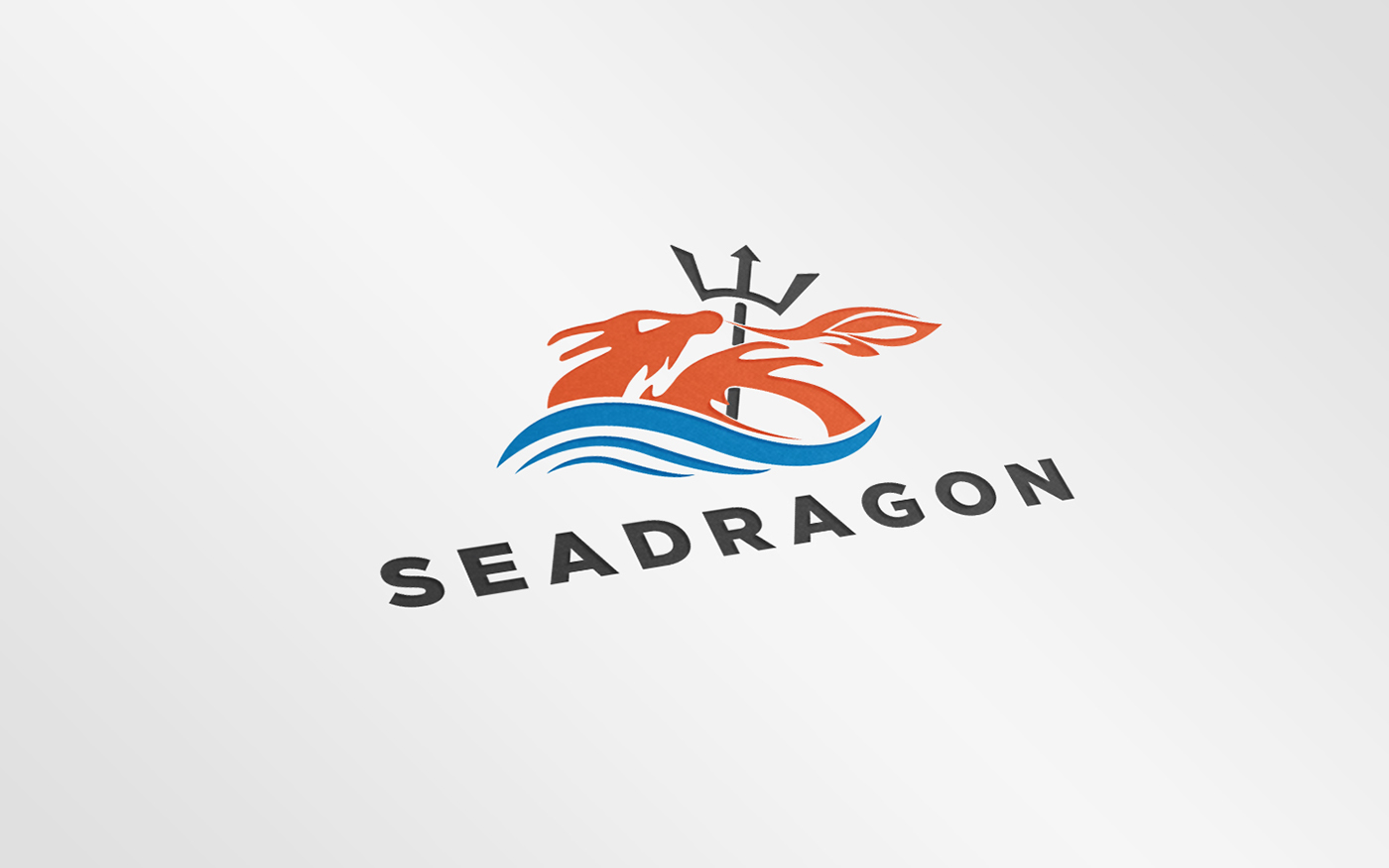 seadragon dragon brand visual identity Corporate Identity corporate branding dragon vector