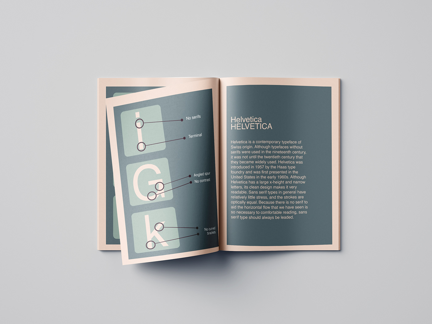 Advertising  book brand identity brochure design editorial Layout typographic typography  