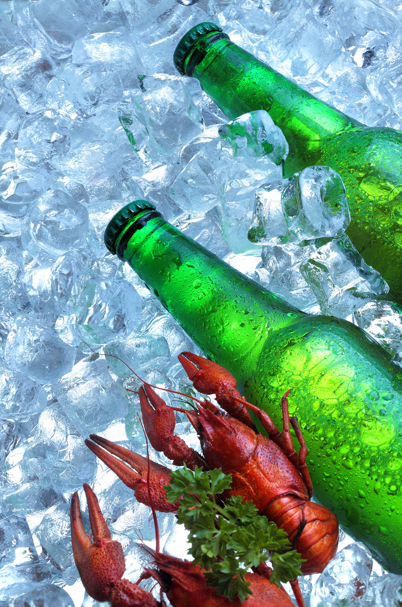beer Advertising  alcohol crayfish water dots Cod sumer dring beverage