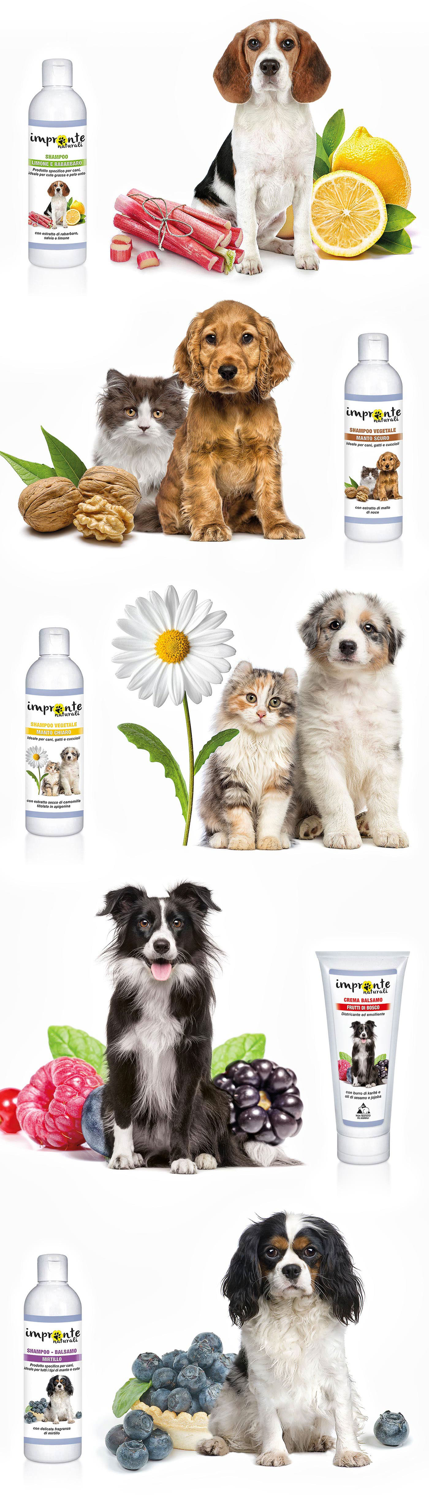 shampoo pets Nature Animal Shampoo Cat dog company profile Corporate Identity cosmetics Ozonized water