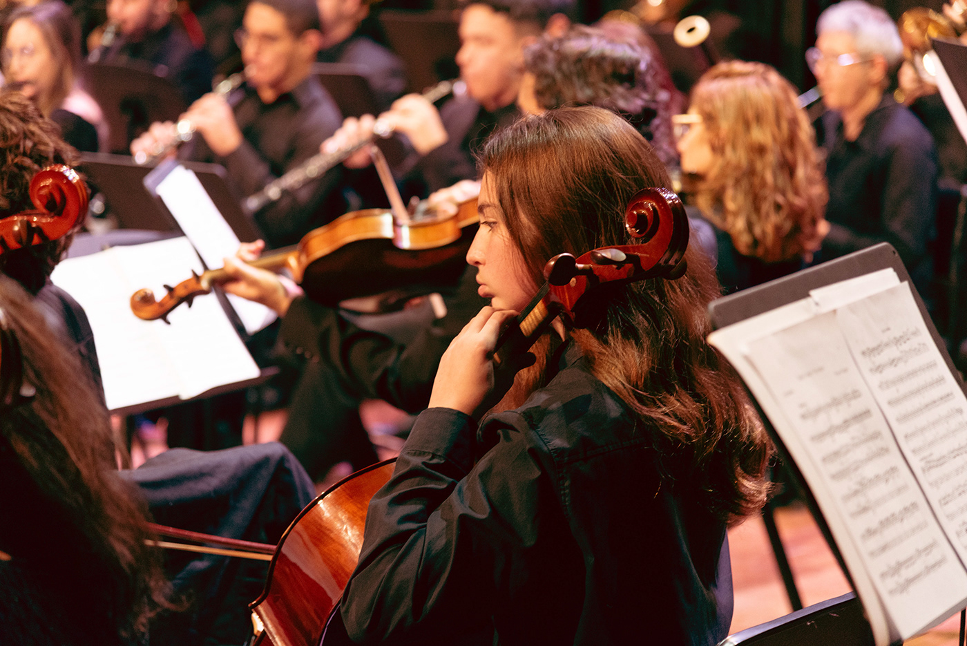 Fotografia orquestra femusik