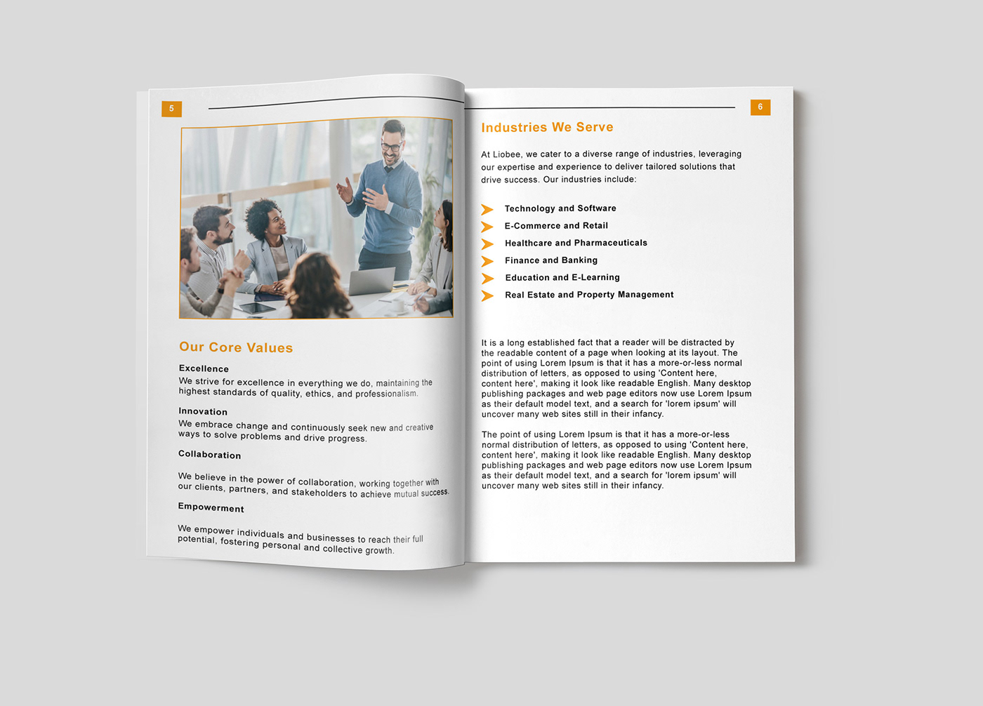 corporate graphic design  bifold brochure brochure company profile BandDesign marketing  