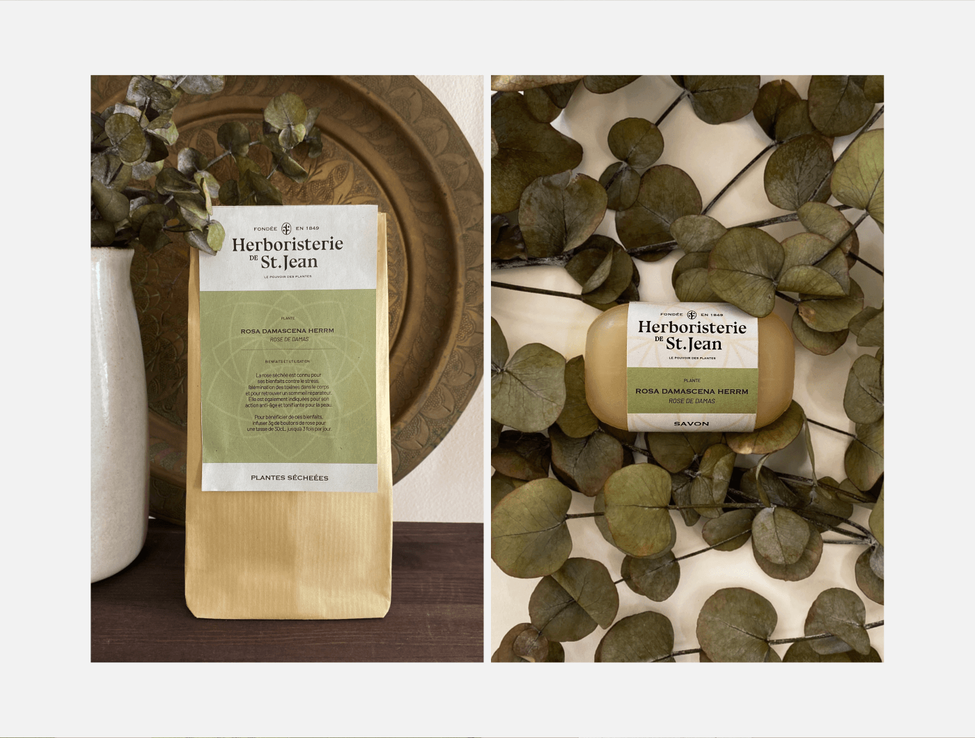 Packaging branding  brand identity herbalism Herbology organic natural green esoteric science