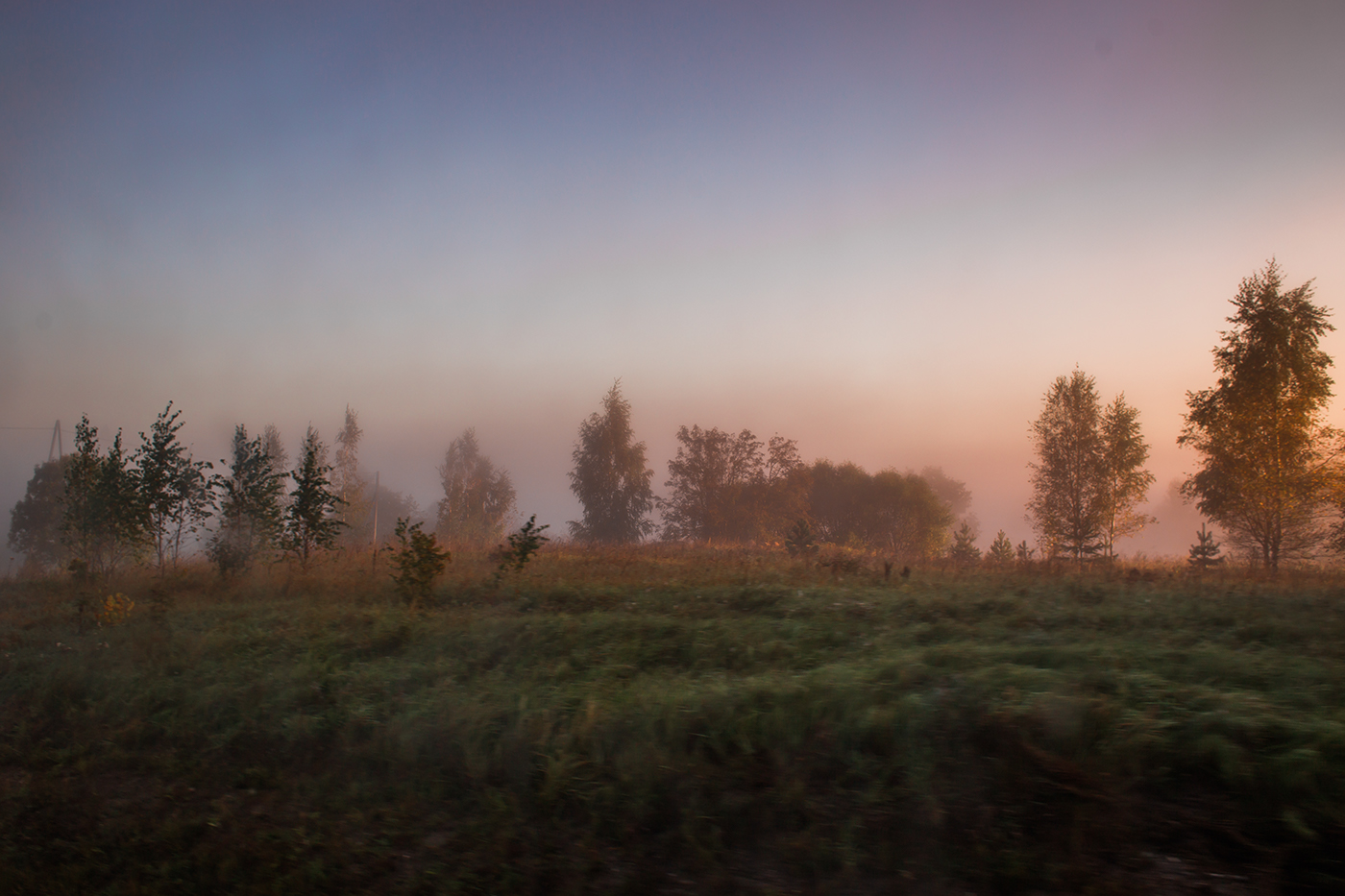 fog Nature Latvia MORNING beauty life gold color Photography 