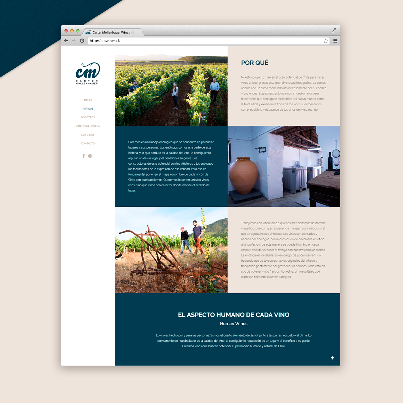 Web Website branding  Wines Responsive corporate site design creative