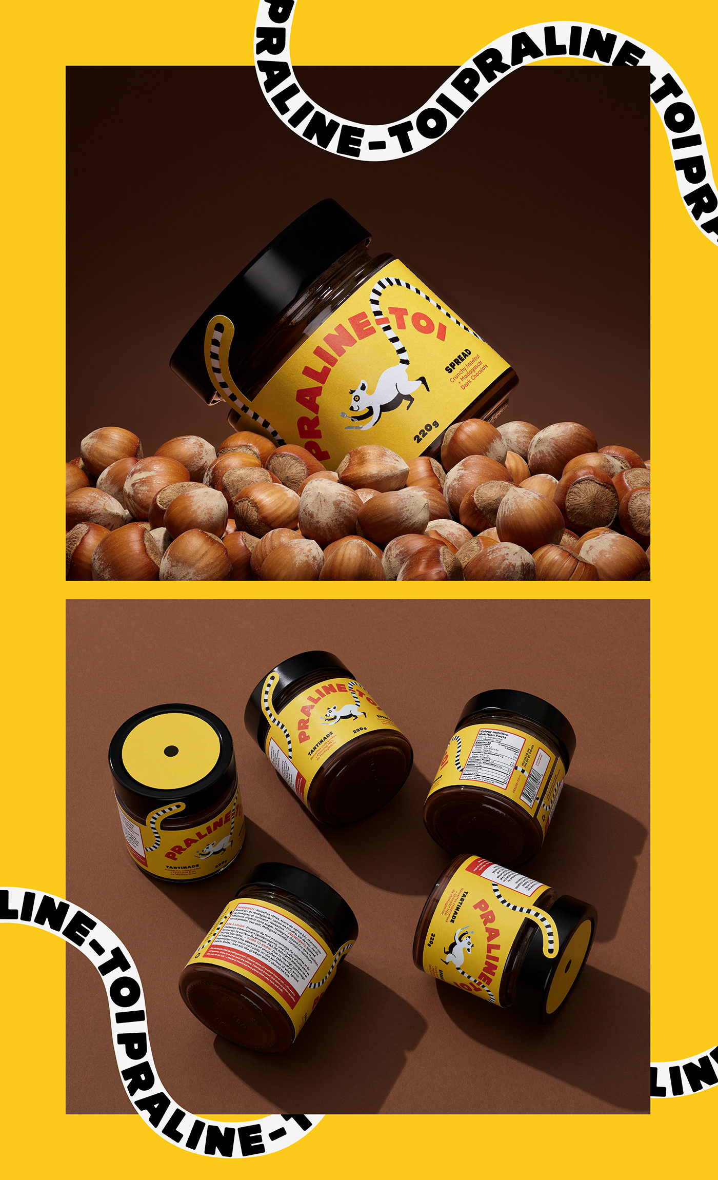 branding  chocolate jar Label lemur madagascar malagasy Packaging spread storytelling  