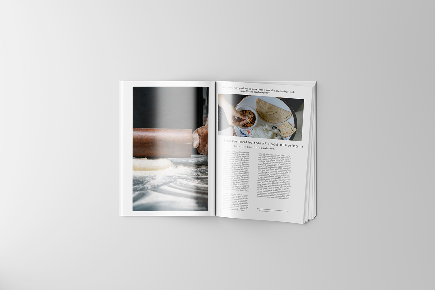 design Graphic Designer visual identity Layout magazine print InDesign