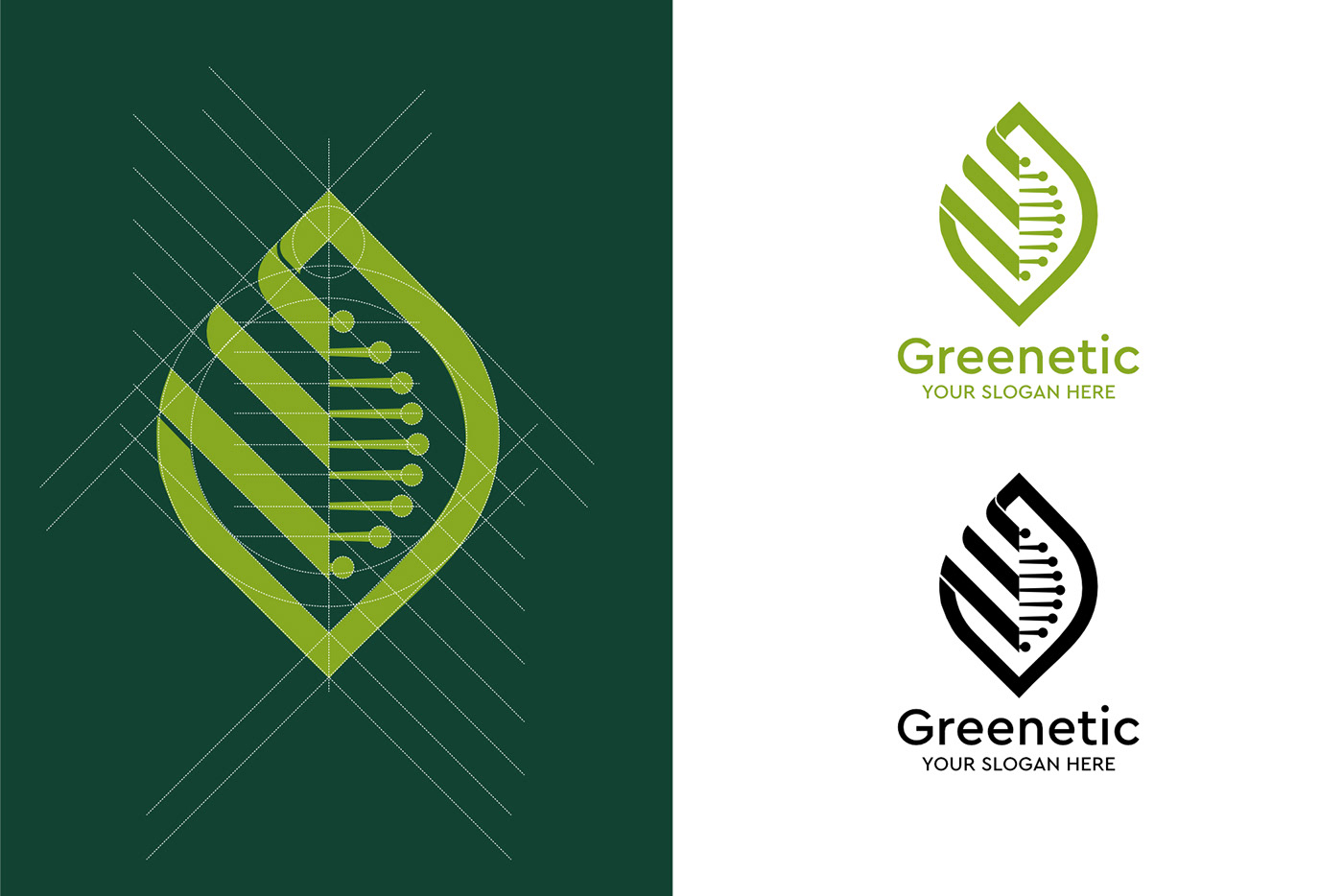 Logo Design logo concept branding  brand identity green genetics science medicine non-profit NGO